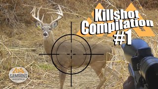 Killshot Compilation 1 [upl. by Ynnad]