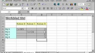 EXCEL Les 6 werkbladen cellen kolommen rijen optellen aftrekken delen vermenigvuldigen [upl. by Imnubulo]