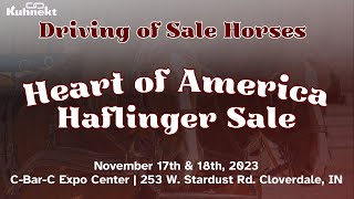 Driving of Sale Horses  Heart of America Haflinger Sale [upl. by Sivar]