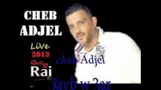 cheb Adjel 3ayb w 3ar mariage à SBA 2013 [upl. by Olinde]