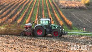 Semis simplifié de blé sans labour derrière chaume de maïs [upl. by Lehte]