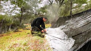 Camping in Heavy HailRainstorm and Thunder ⛈️⚡ • Solo Camping in Heavy Rain with my Dog [upl. by Demeyer]