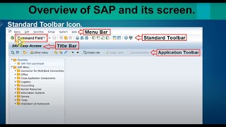 01 SAP Screen Navigation [upl. by Alenoel]