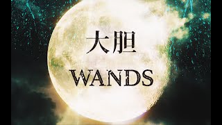 WANDS「大胆」 MV [upl. by Bidle]