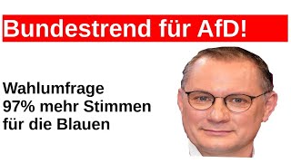 Bundeswahltrend Wahlumfrage Prognose Hochrechnung Meinungsumfrage AfD Gewinner [upl. by Lucho]