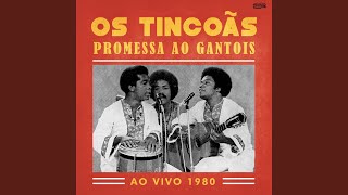 Promessa Ao Gantois Ao Vivo 1980 [upl. by Mayrim220]