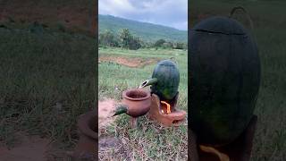 Survival Skills steam bad water in Watermeloncamping outdoors bushcraft survival [upl. by Anivid]