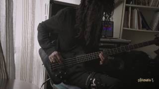 Dir En Grey  Glass Skin Bass Cover  XV [upl. by Thorsten]