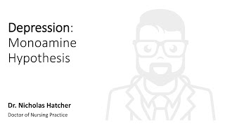 Depression Monoamine Hypothesis [upl. by Sac109]