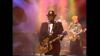 Bo Diddley  Who Do You Love 1987 [upl. by Seldun]