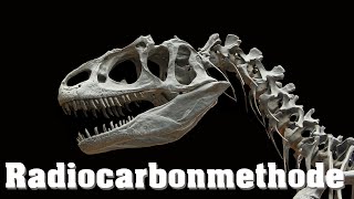 Datierung von Fossilien Radiocarbonmethode [upl. by Butte]