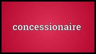 Concessionaire Meaning [upl. by Noyrb]