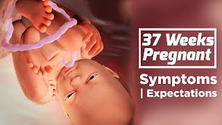 37 Weeks Pregnant Baby 3 [upl. by Somerset]