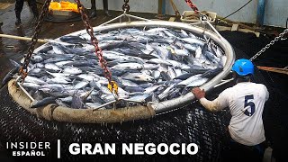 7 de las Comidas de mar más Falsificadas del Mundo  Gran Negocio  Insider Español [upl. by Adnyleb]