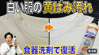 【新品に戻す】白い服の黄ばみ汚れの落とし方は食器洗剤が最強！〜役立つ雑学 [upl. by Cowie]