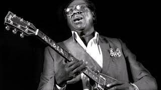 ALBERT KING  Live in Washington DC 1981  Full Album [upl. by Arriet912]