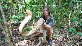 Worlds Most VENOMOUS Snakes DOCUMENTARY King CobraInland TaipanReticulated Python [upl. by Shepp]