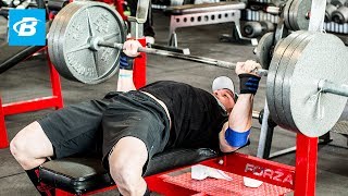 How To Bench Press Layne Nortons Complete Guide [upl. by Marguerie]