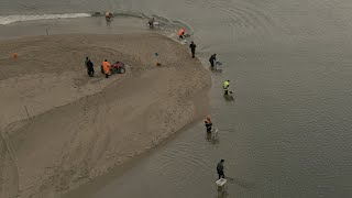 Whitebait Season Opening Day 2023  Clutha River Mouth [upl. by Atirat733]