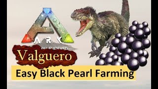 ARK Valguero  Easy Black Pearl amp Silica Pearl Farming Guide [upl. by Mahgirb785]