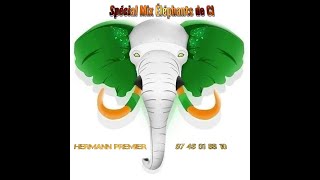 MIX SOUTIEN AUX ELEPHANTS DE CI HERMANN PREMIER 0748018810 [upl. by Inattyrb513]