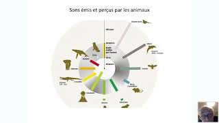 Aux limites des sens  Les infrasons chez les mammifères et en particulier chez le BigfootSasquatch [upl. by Savinirs]