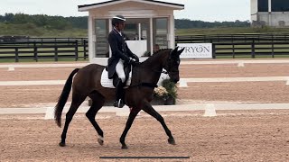 Barney Rubble  Tryon FEI  Sept ‘24 [upl. by Aiel]