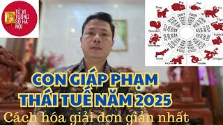 Các con giáp phạm Thái Tuế năm 2025 và cách hóa giải  Tử vi tướng số Hà Nội [upl. by Darken]