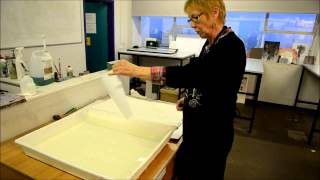 Printmaking tutorial Drypoint Inking amp Printing by Linda Nevill Fine Art Printmaker [upl. by Ruthy944]