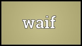 Waif Meaning [upl. by Kent317]