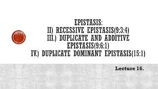 Lecture 16 Epistasis Recessive Duplicate amp Additive Duplicate Dominant PBG 201 [upl. by Caldera]