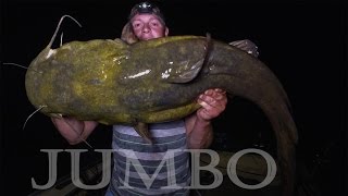 JUMBO Flathead Catfish Mississippi River Minnesota  Northwoods Angling [upl. by Murtha369]