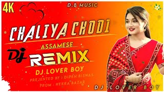 Chaliya ChodiDj Remix  Nilav Nita  Assamese Dj Song  2024 New Dj Song  Dj Lover Boy [upl. by Nilsoj]