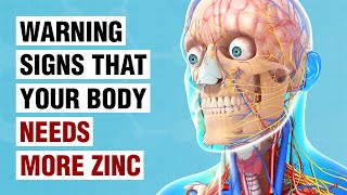 10 Warning Signs Your Body Needs More Zinc [upl. by Esila]