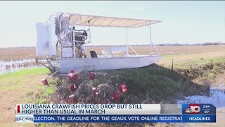 NBC 10 NEWS TODAY Crawfish prices are still high even with recent price drops [upl. by Wehttam515]