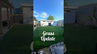 Stay until August Before amp After Bermudagrass reelmower cuttinggrass [upl. by Toulon]