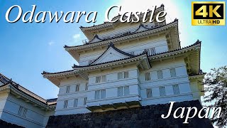 Odawara Castle Kanagawa  A Journey through Japanese History [upl. by Nywloc]