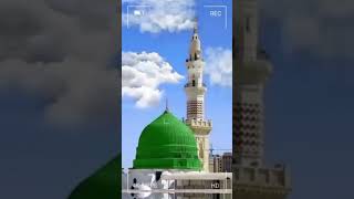 masjid al haram🕋makkhaallahYouTube tilawat [upl. by Naitsabas]