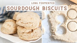 Homemade Sourdough Biscuits  Long fermented [upl. by Auria]