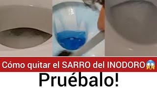 🪣VIDEO DE LIMPIEZA🚽Cómo quitar el FONDO NEGRO del INODORO ELIMINAR EL SARRO Pongámoslo A PRUEBA [upl. by Fiore]