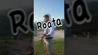 bass shorts shortvideo short Ciubo  Roata romania dj remix 2024 drop hora remix [upl. by Colleen]