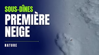 Première neige à sousdînes EVOLUTION [upl. by Gerardo]