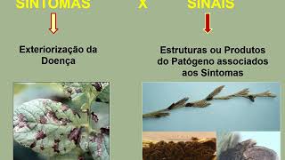 Aula 01  Conceitos em doenças de plantas e fitopatógenos Sintomas e diagnose de doenças de plantas [upl. by Edgar567]