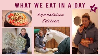 What my horses and i EAT IN A DAY I vegane Rezepte I Futterplan Sport Pferd Mini Shetty amp Rentner [upl. by Eisso]