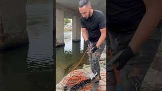 Un poteau remplie de moules 😲 pechealaimant dépollution fishing découverte podcast [upl. by Cully]