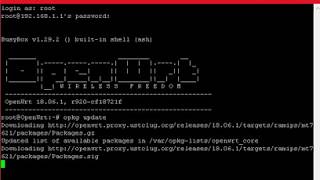 OpenWrt openvpn client site to site installation guide [upl. by Aivitnahs736]