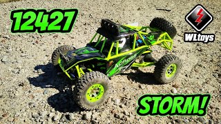 WLToys 12427 Storm Desert Buggy Review [upl. by Sello261]