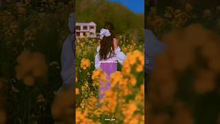 Dil Ke Pass 🥀🌿 Asthethic Status ✨shorts short sad youtubeshorts shortsvideo viral love [upl. by Ardnuasal]