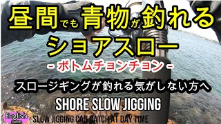 スロージギング 釣れるコツ 方法【ショアジギング】しゃくり方 実釣 メタルジグ水中映像 ジグパラスロー 撃投ジグウルトラスロー [upl. by Wootan11]