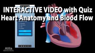 NEW INTERACTIVE VIDEO Heart Anatomy and Blood Flow [upl. by Ised132]